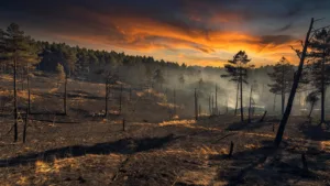 Incendies dans le Limousin : une centaine de pompiers mobilisés