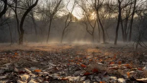 Incendies en Vendée : la vigilance rouge levée, l&rsquo;accès aux forêts partiellement réautorisé le matin