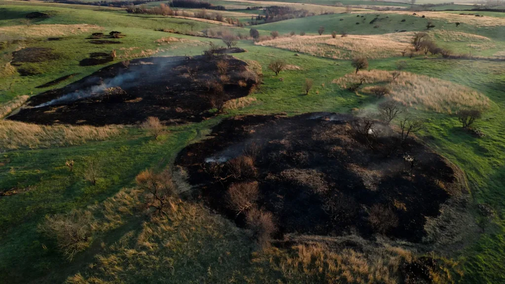Indre : 20 hectares de végétation détruits par deux incendies simultanés à Ciron et Sassierges-Saint-Germain
