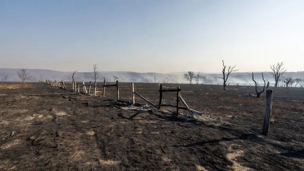 Indre : risque élevé d'incendie ce 19 juin, 16 départements concernés et déjà ~150 ha brûlés