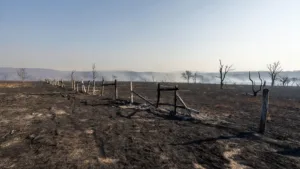 Indre : risque élevé d&rsquo;incendie ce 19 juin, 16 départements concernés et déjà ~150 ha brûlés