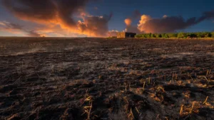 Jura : 5 hectares de paille détruits dans un incendie agricole aux Hays