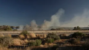 La Ciotat : incendie maîtrisé en bordure de l&rsquo;A50, circulation perturbée