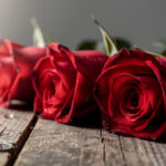 La Flèche : le maire Romain Lemoigne remet des roses aux résidents des résidences autonomie