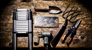 La Rochelle : Plantain Jardin lance une cagnotte pour mutualiser broyeurs et outillage entre jardins partagés