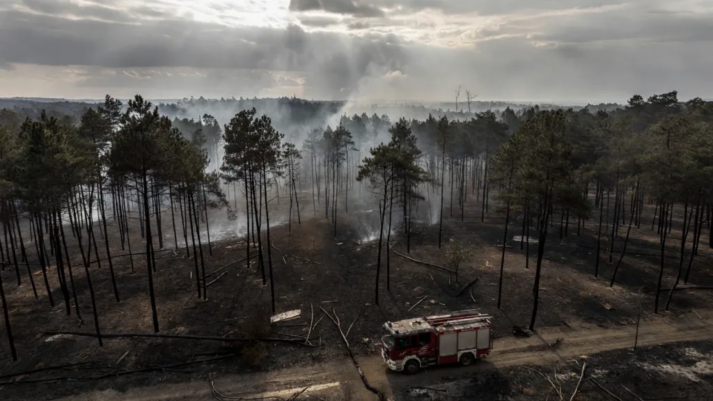 Landes : un incendie de forêt de 10 hectares maîtrisé à Saugnac-et-Muret