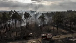 Landes : un incendie de forêt de 10 hectares maîtrisé à Saugnac-et-Muret