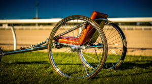 Laval : le Grand National du Trot met en lumière la filière équine mayennaise