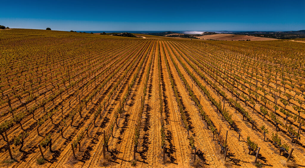 Lézignan-Corbières : table ronde sur la viticulture avec le préfet Bucquet