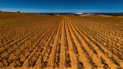 Lézignan-Corbières : table ronde sur la viticulture avec le préfet Bucquet