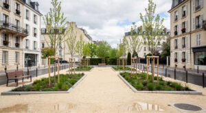 Lille-Moulins : le square de la Boule réaménagé avec les enfants du quartier