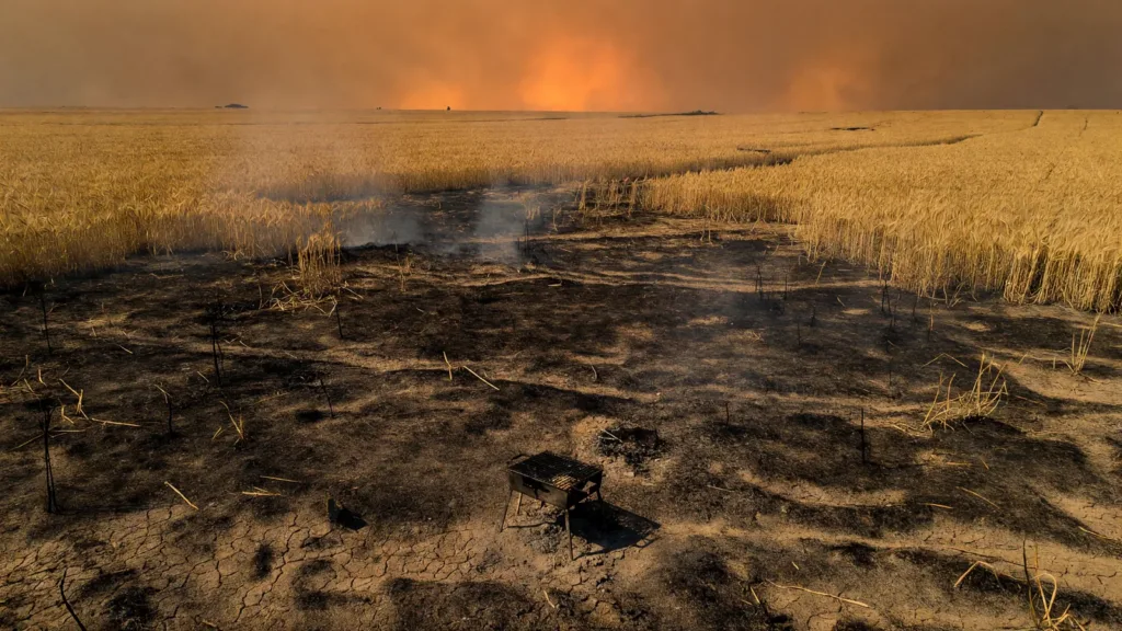 Loire : trois personnes en garde à vue après des incendies causés par barbecue et feu d'artifice en pleine canicule