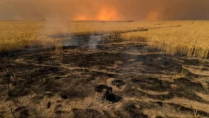 Loire : trois personnes en garde à vue après des incendies causés par barbecue et feu d&rsquo;artifice en pleine canicule