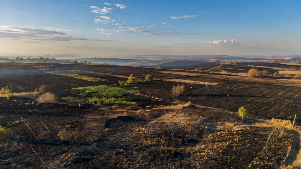 Loiret : 68 hectares brûlés en une journée, dix incendies mobilisent les pompiers