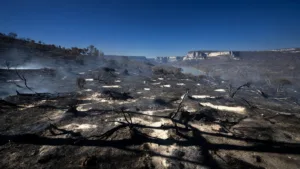 Lot : deux hectares de végétation détruits par un incendie à Marcilhac-sur-Célé en pleine vigilance rouge canicule