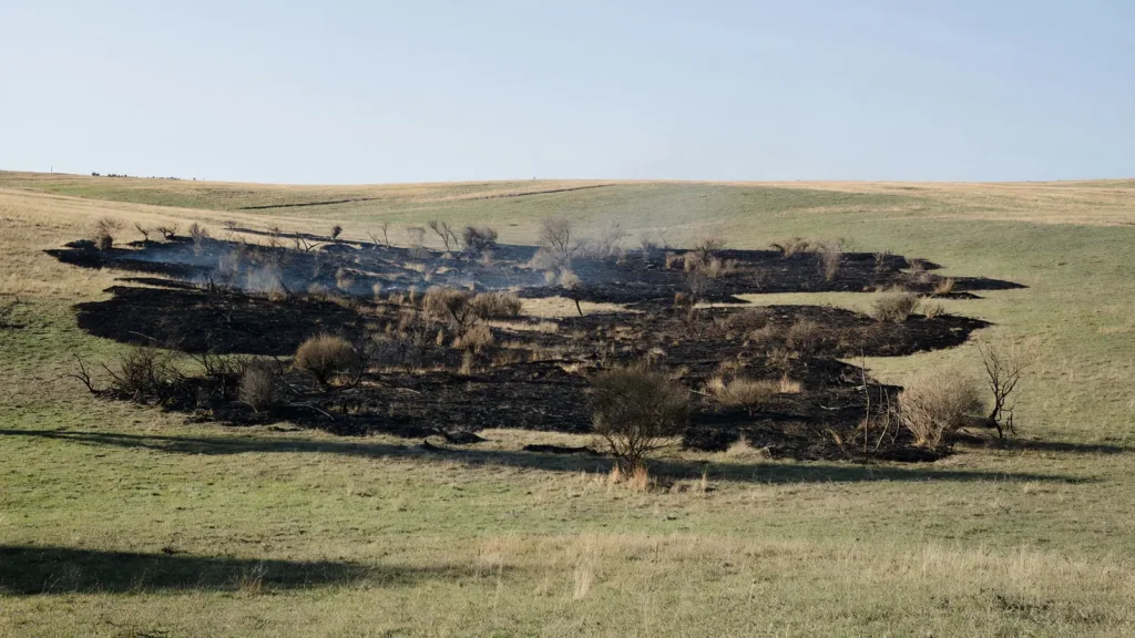Lozère : un feu de broussailles de 5 000 m² maîtrisé rapidement à Rieutort-de-Randon