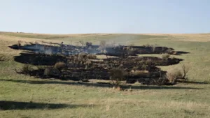Lozère : un feu de broussailles de 5 000 m² maîtrisé rapidement à Rieutort-de-Randon