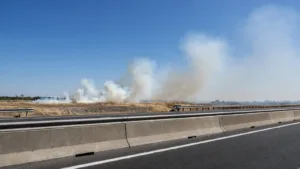 Mandelieu-la-Napoule : un incendie de végétation près de l&rsquo;A8 perturbe la circulation