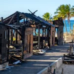 Marina de Saint-François : début des travaux de démolition des commerces incendiés