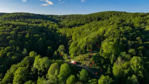 Mayenne : exercice feux de forêt grandeur nature dans la Grande Charnie ce jeudi