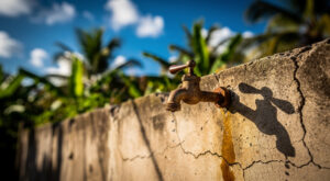 Mayotte : appel à candidatures pour la Commission Eau du Réseau EEDD 976 (avant le 5 juin)