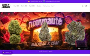 Les meilleures marques de CBD en France en 2026