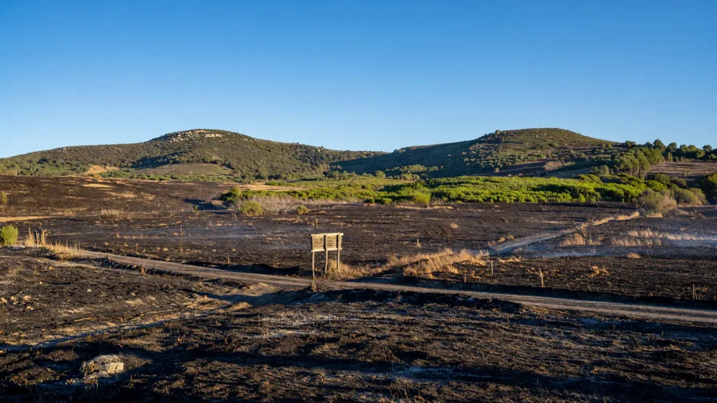 Montagnac : un incendie maîtrisé après douze largages de Canadair