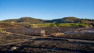 Montagnac : un incendie maîtrisé après douze largages de Canadair