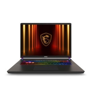 MSI Vector 17 HX AI
