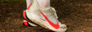 Nike Pegasus Plus