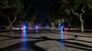 Nîmes : un homme ivre attaque policiers et le chien Jim lors d&rsquo;une bagarre sur l&rsquo;Esplanade