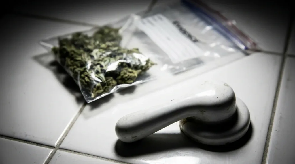 Niort : 30 mois ferme pour un homme qui avait jeté sa drogue dans les toilettes et frappé un policier