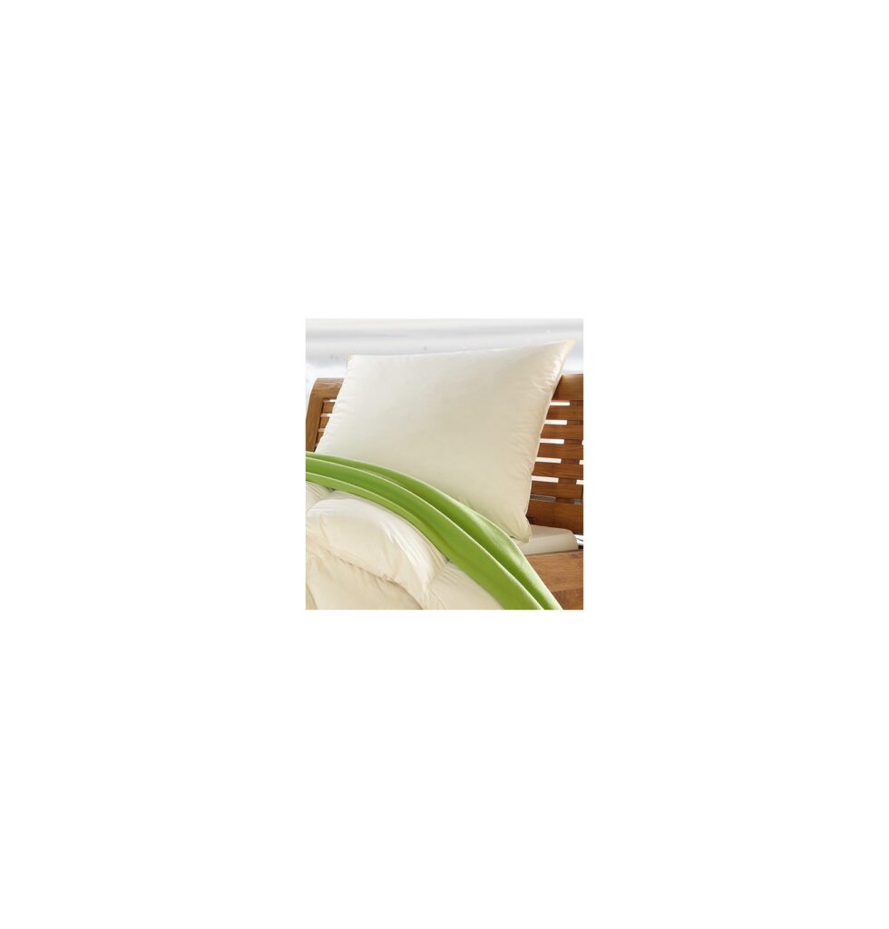 Oreiller 30% Duvet Canard
