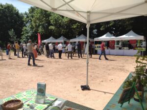 Empalot : la place André Daste inaugurée avec son nouveau théâtre de verdure