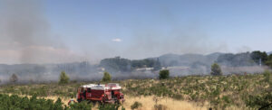 Incendie sur l&rsquo;A57 à Cuers : un camion en feu se propage à la végétation, 4 hectares brûlés