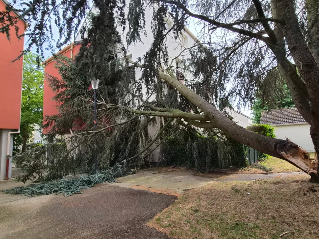 Orages violents à Cergy-Pontoise : 695 impacts de foudre, « Cergy en fête » annulé