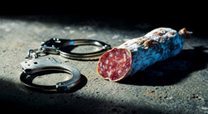 Pau : 4 mois de bracelet électronique pour un jet de saucisson dans l&rsquo;œil d&rsquo;un policier