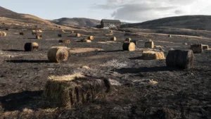 Plainfaing : incendie d&rsquo;une presse à foin, 1 500 m² de prairie brûlés