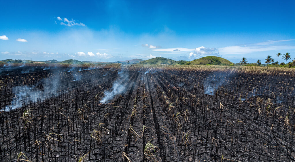Port-Louis : 35 ha de canne en feu, écoles évacuées et alerte sécheresse sur Grande-Terre