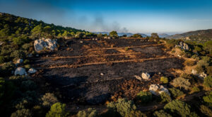Porto-Vecchio : feu de végétation maîtrisé au Pianelli, 3 ha brûlés