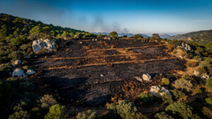 Porto-Vecchio : feu de végétation maîtrisé au Pianelli, 3 ha brûlés