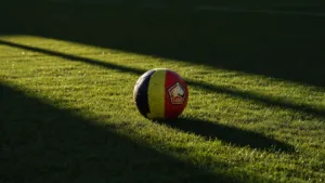 Pourquoi les supporters du LOSC suivent les Diables Rouges à la Coupe du Monde