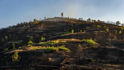 Puy-de-Dôme : important incendie de végétation maîtrisé à Busséol