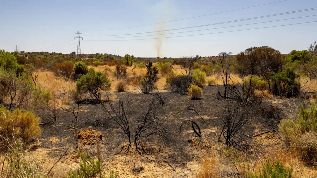 Pyrénées-Orientales : un début d'incendie maîtrisé à Saint-Jean-Pla-de-Corts, possiblement causé par une débroussailleuse