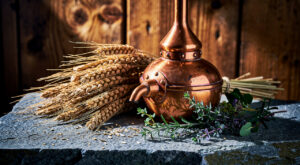 Queyras : 2 M€ investis à la Distillerie Saint-Véran, un whisky au seigle en projet