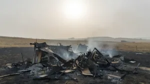 Reprise de feu à Dunes : les braises ravivent l&rsquo;incendie deux jours après en pleine canicule