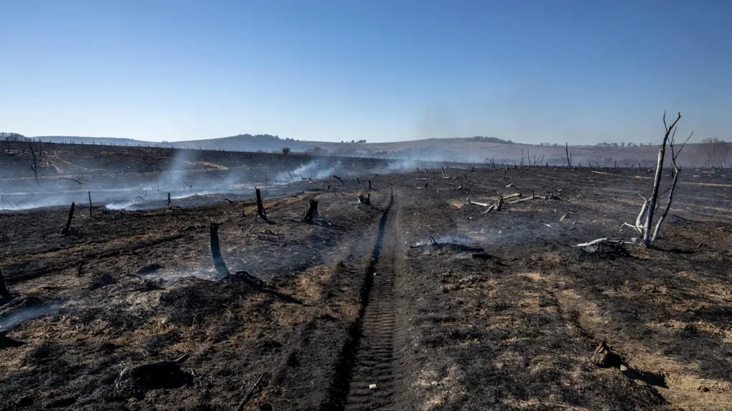 Rhône : incendie à Deux-Grosnes, 4 hectares brûlés et 60 pompiers mobilisés en pleine canicule
