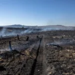 Rhône : incendie à Deux-Grosnes, 4 hectares brûlés et 60 pompiers mobilisés en pleine canicule
