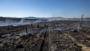 Rhône : incendie à Deux-Grosnes, 4 hectares brûlés et 60 pompiers mobilisés en pleine canicule