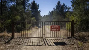 Risque incendie en Vendée : l&rsquo;accès aux forêts interdit jusqu&rsquo;au 25 juin